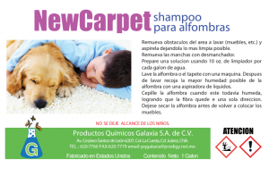 Captura de pantalla 2026-02-06 125247